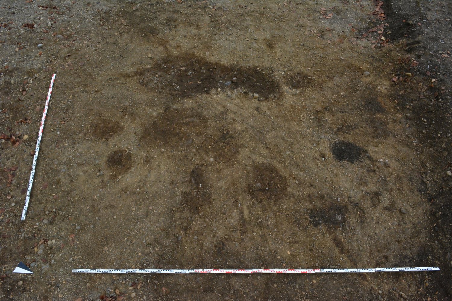 Archaeological planum with features, north arrow and measuring scales